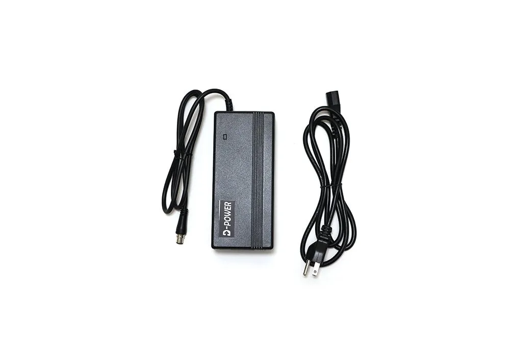 48V 2 Amp Charger