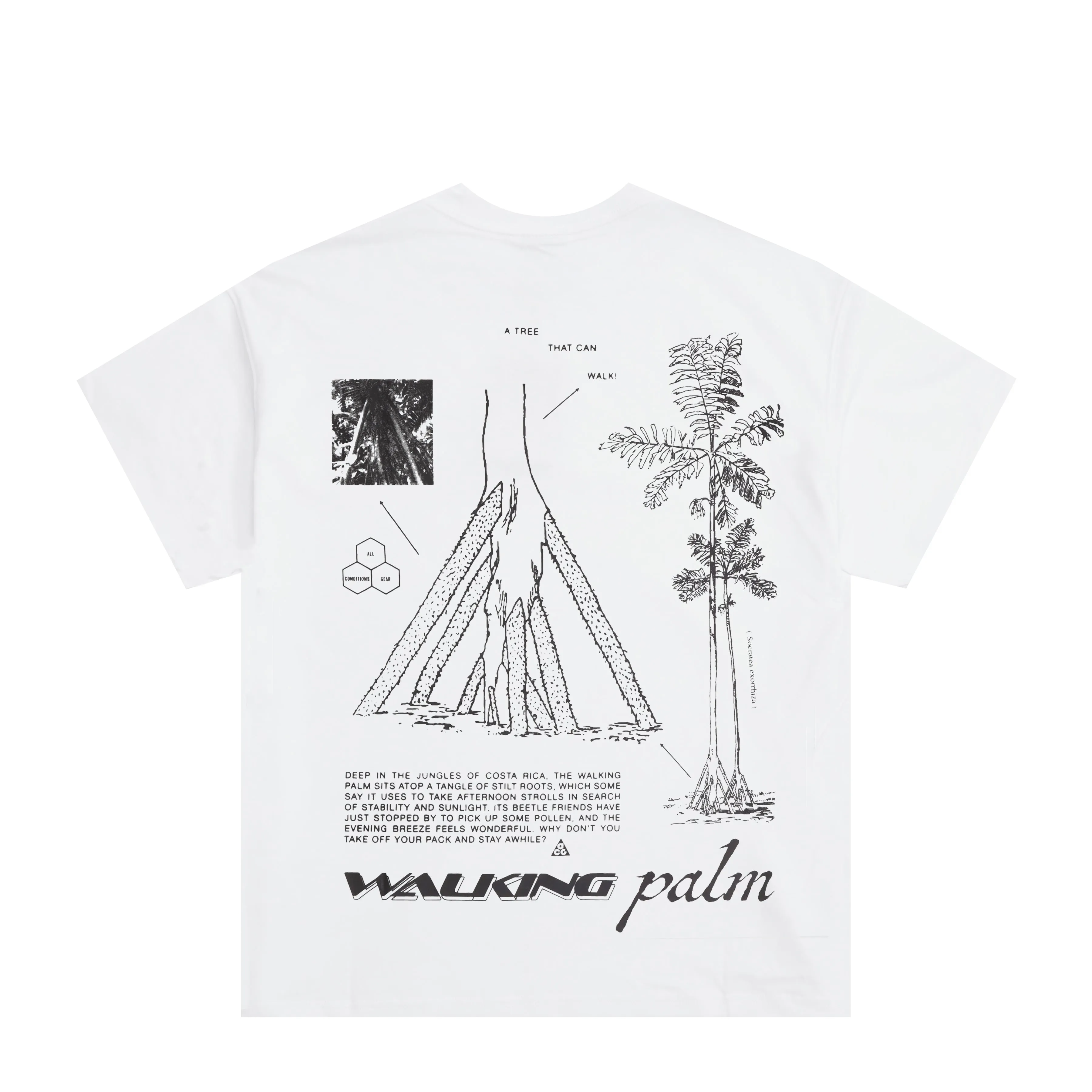 ACG "WALKING TREE" DRI-FIT T-SHIRT