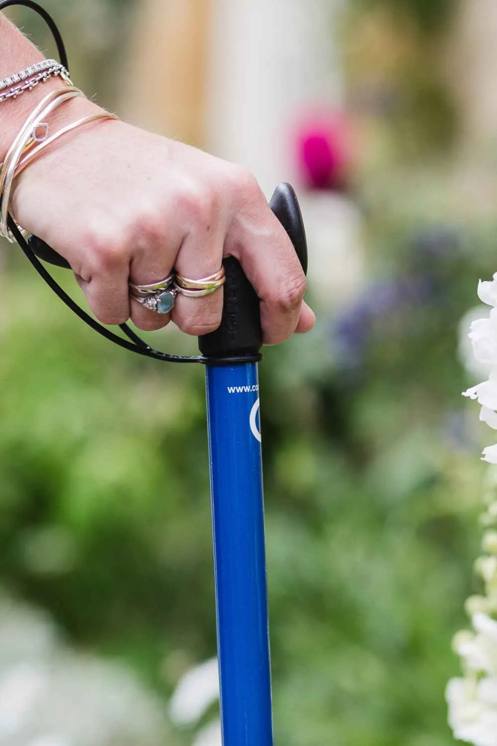 Blue Walking Stick