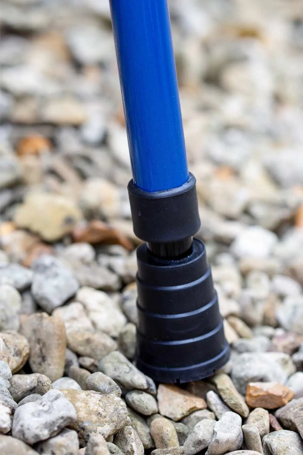 Blue Walking Stick
