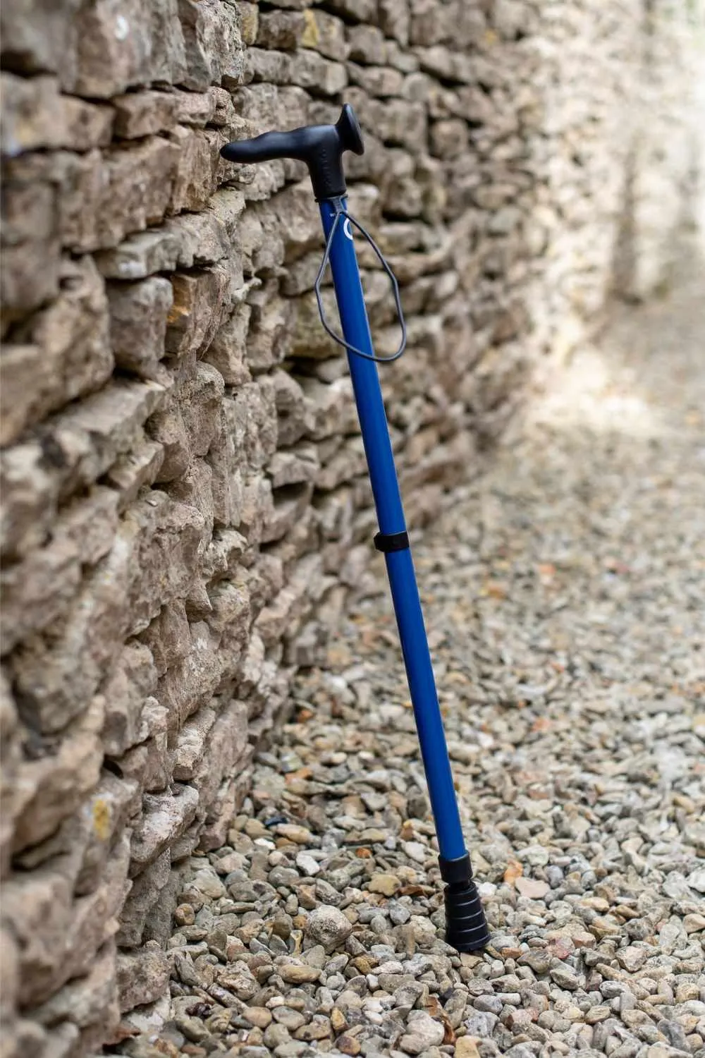 Blue Walking Stick