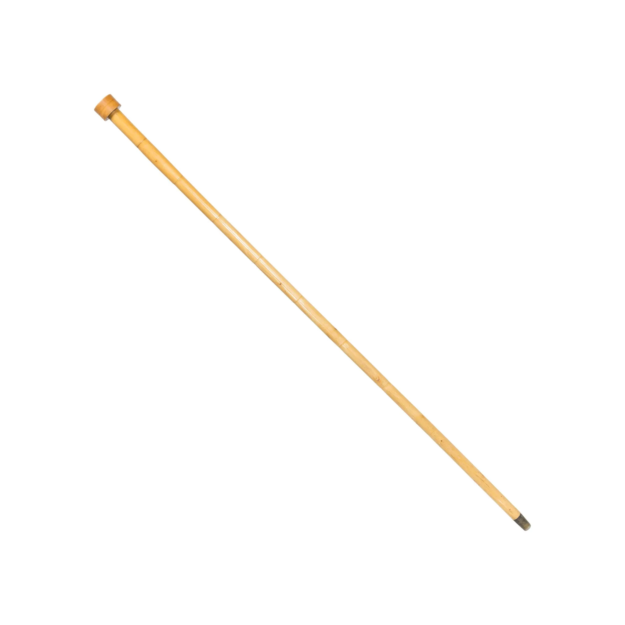 Gambler's Walking Stick with Dice