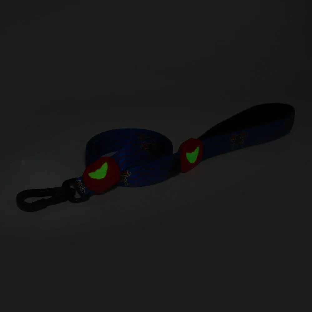 Jibaro Vejigante Mask Dog Leash | Perrandeo Jibaro Pawtriotico Collection