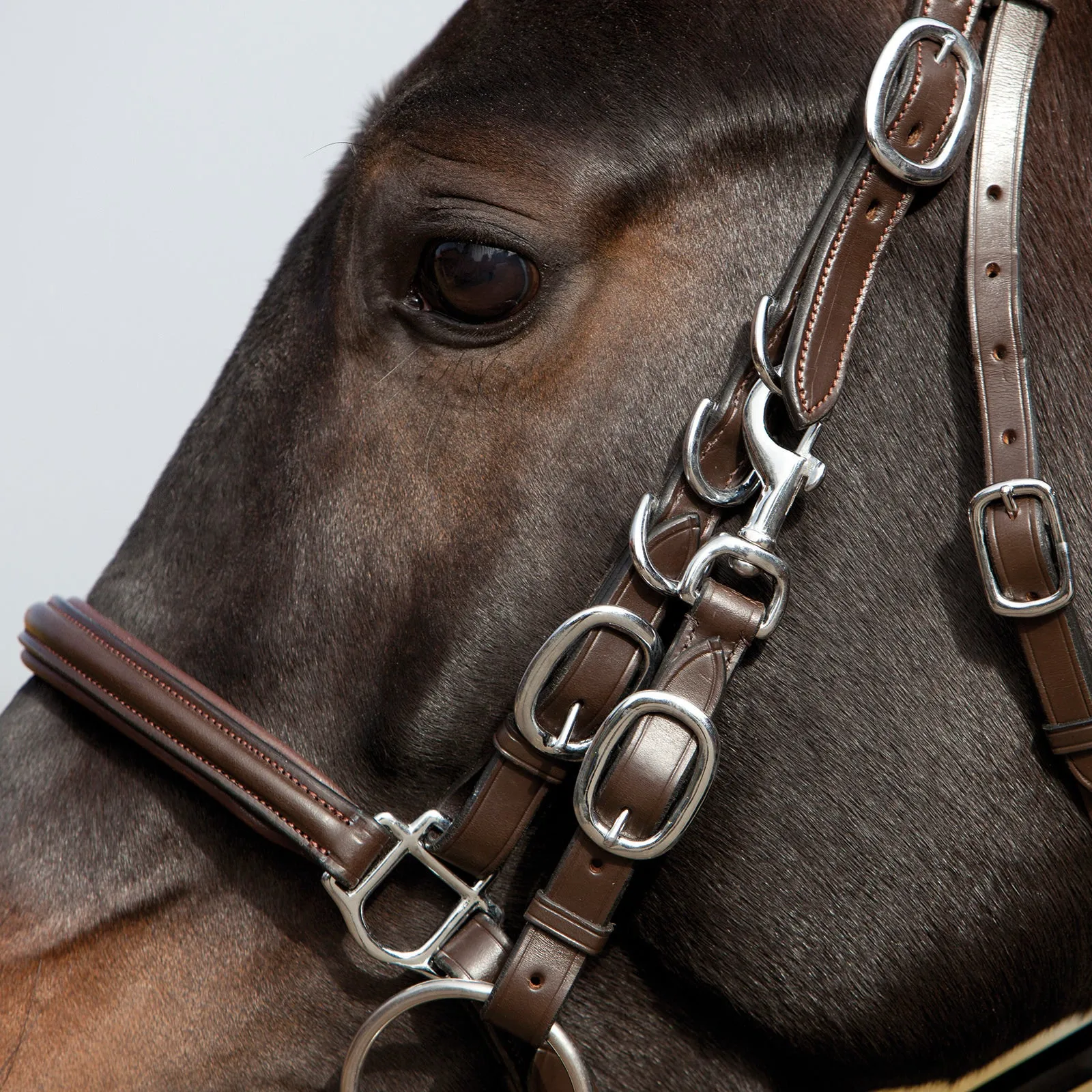 Kieffer Walking Trail Snaffle bridle