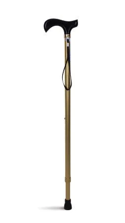 Lifestyle T handle walking stick