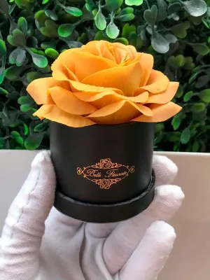 Mustard Classic Micro Mini - Black Box