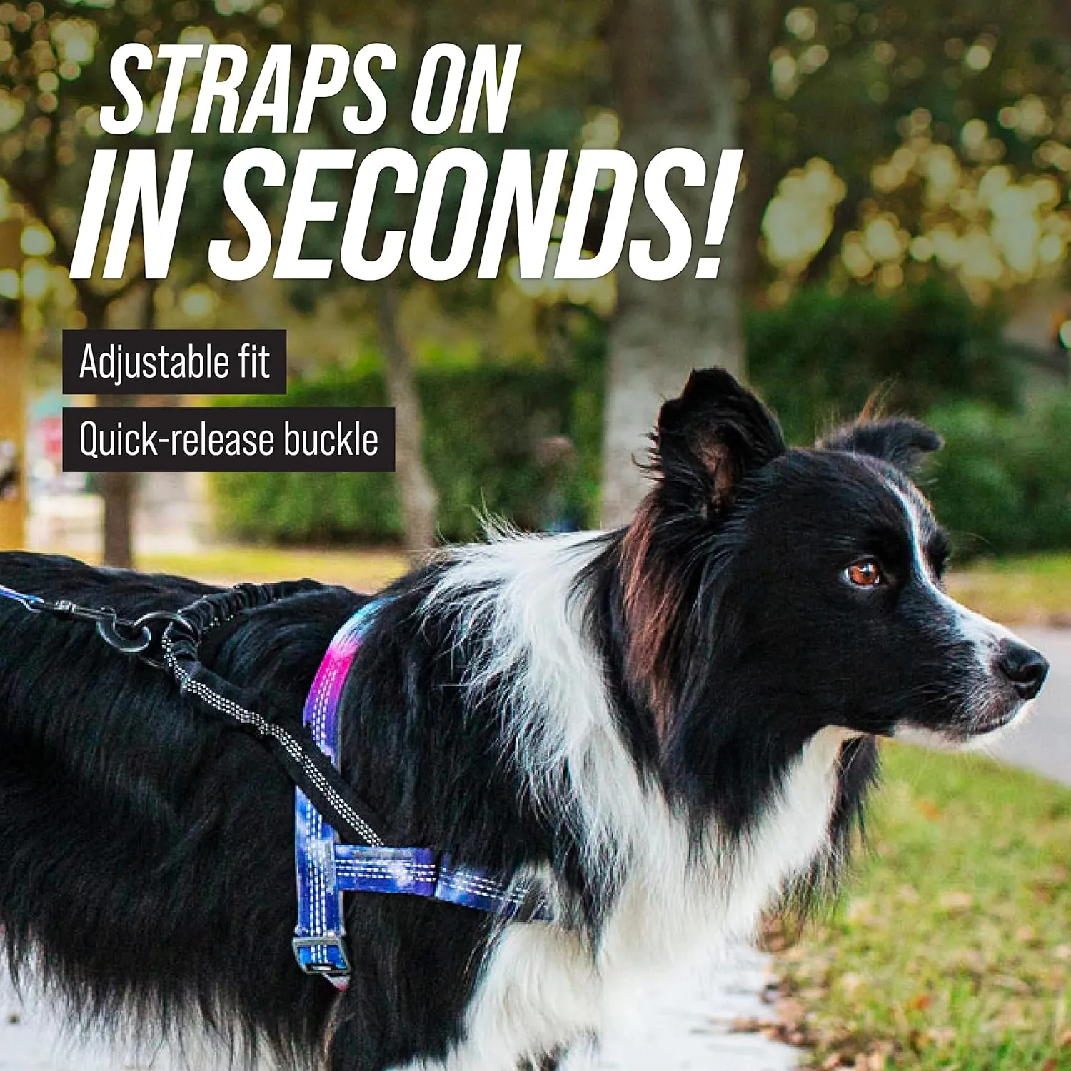 No-Pull Dog Harness - Front and Rear Clip - Reflective - Padded for Walking and Training