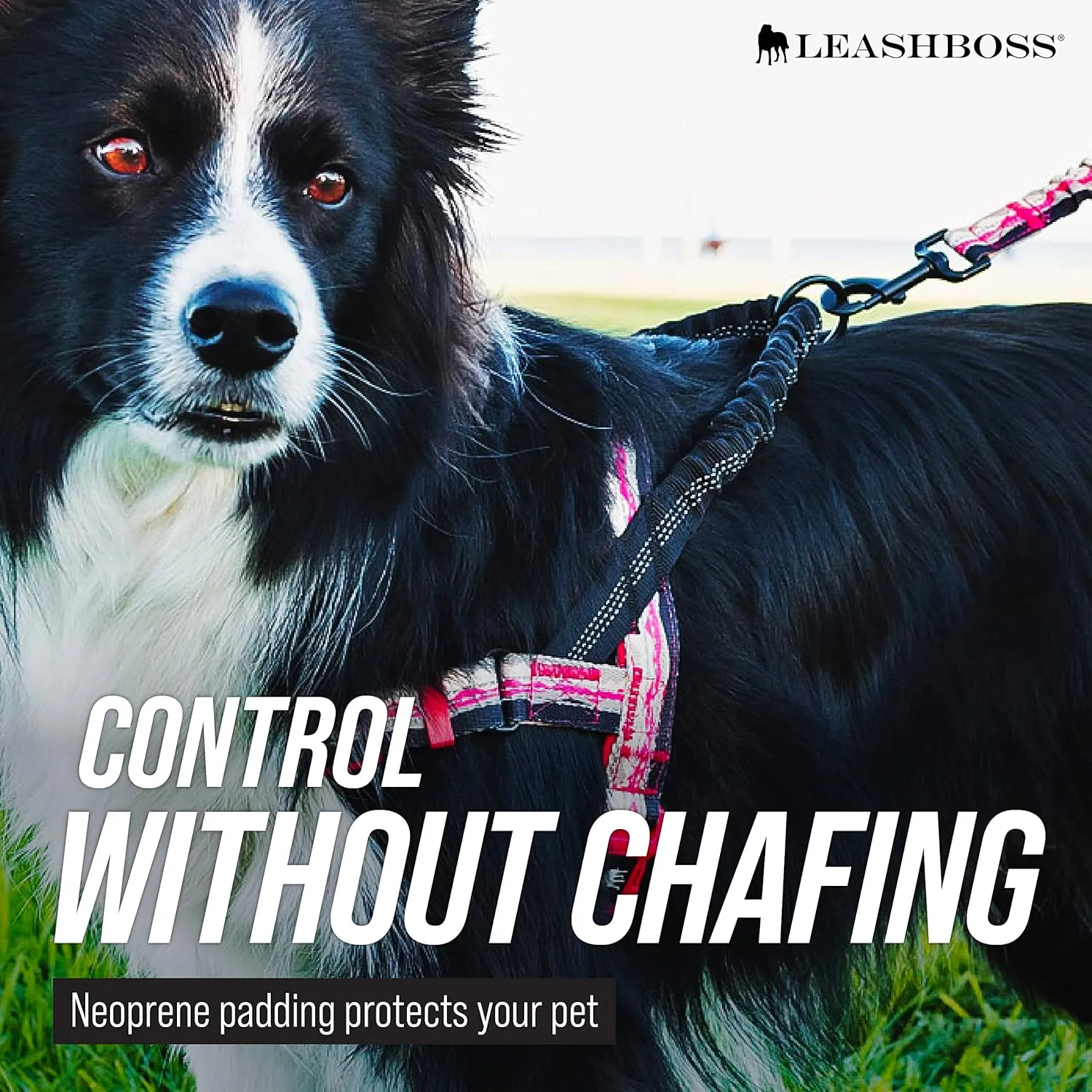 No-Pull Dog Harness - Front and Rear Clip - Reflective - Padded for Walking and Training