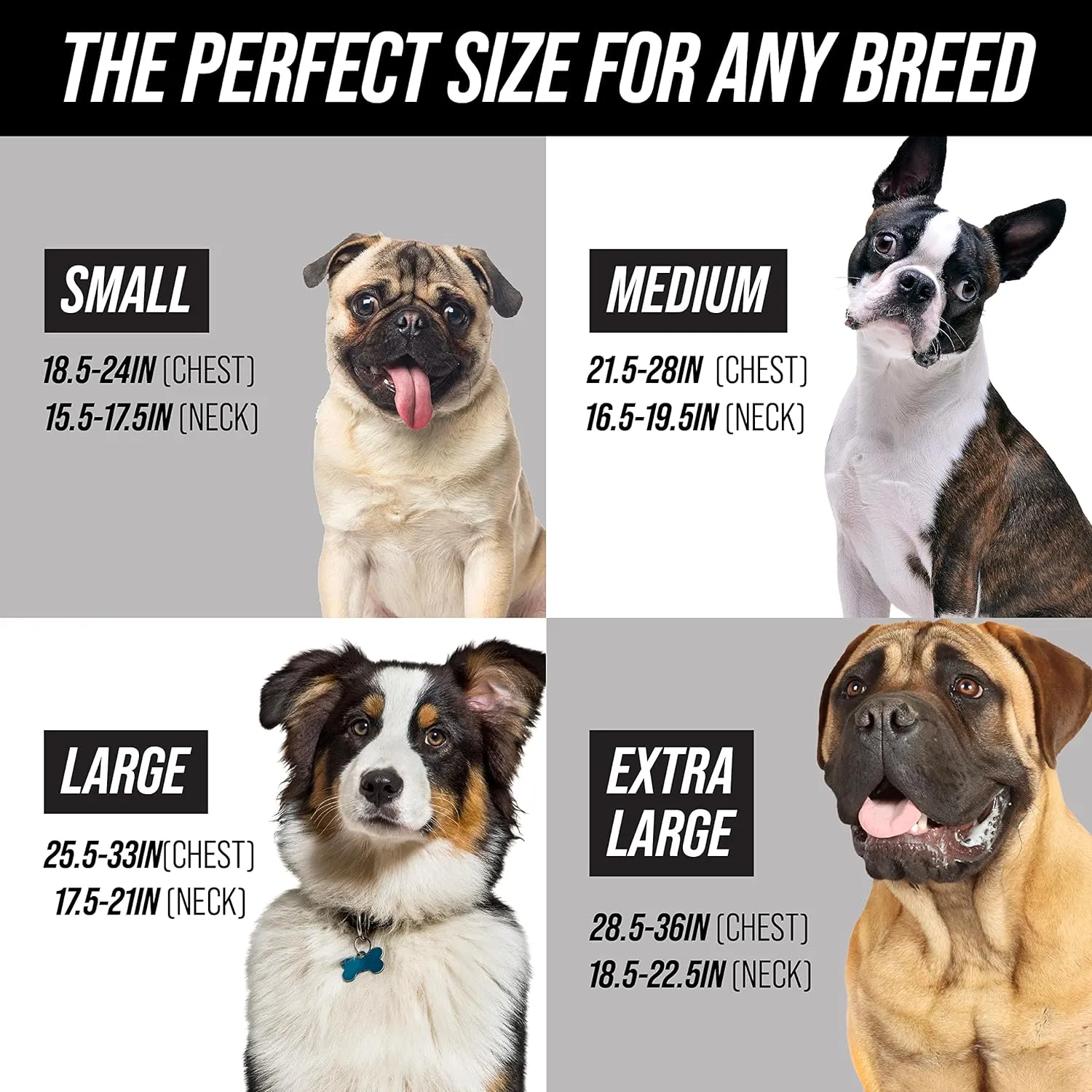 No-Pull Dog Harness - Front and Rear Clip - Reflective - Padded for Walking and Training