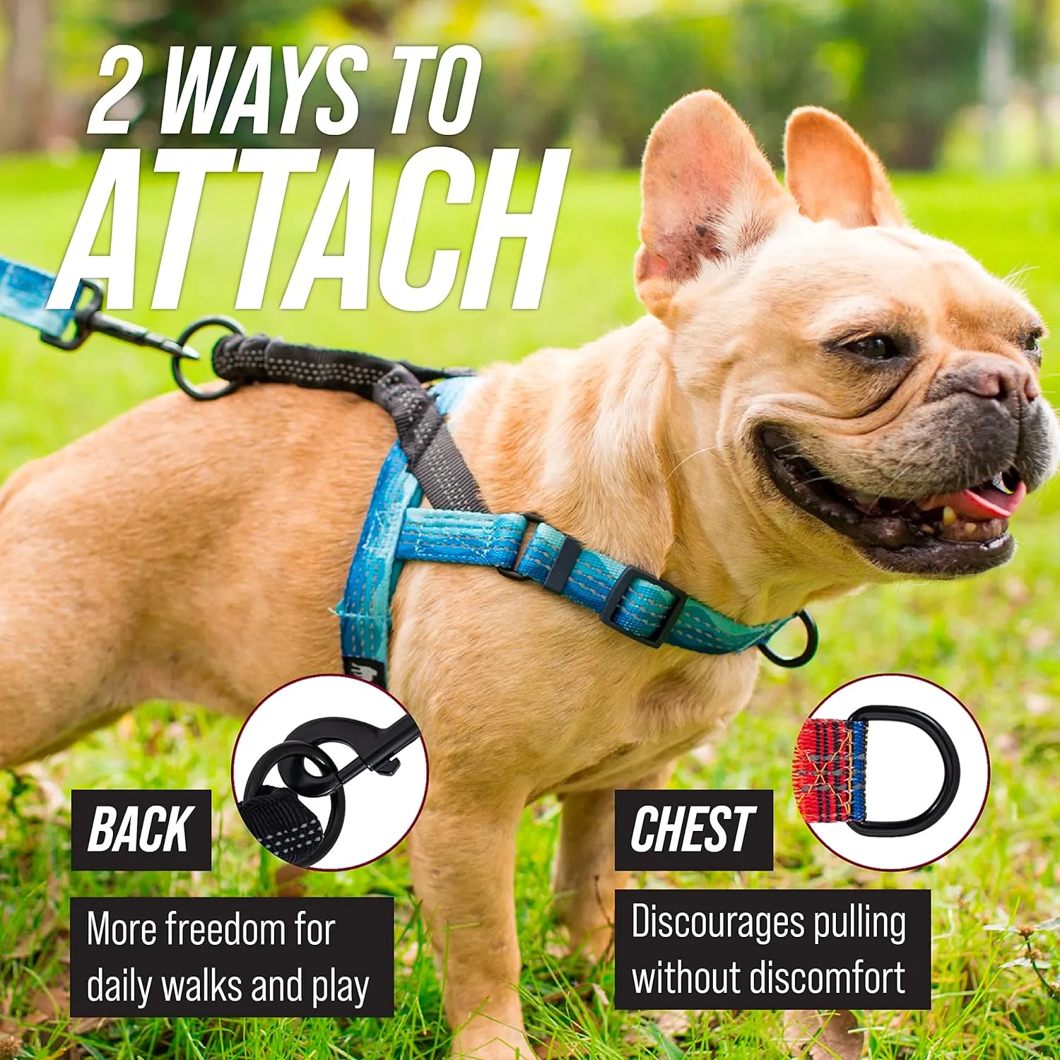 No-Pull Dog Harness - Front and Rear Clip - Reflective - Padded for Walking and Training