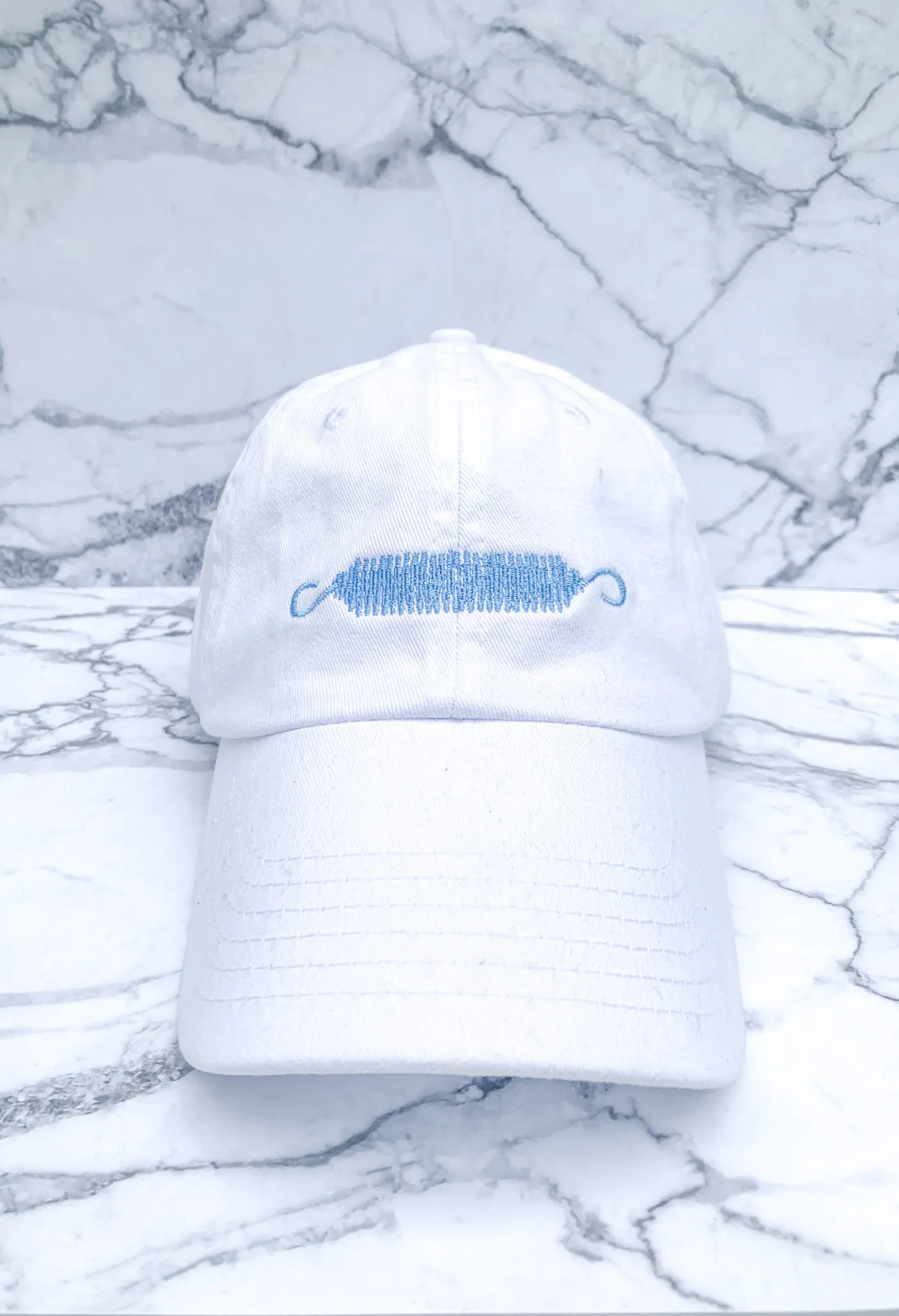 Pilates Spring Dad Hat