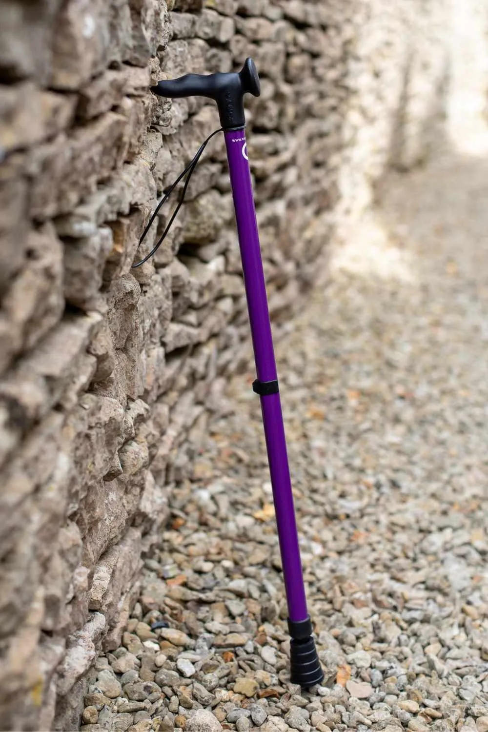 Purple Walking Stick