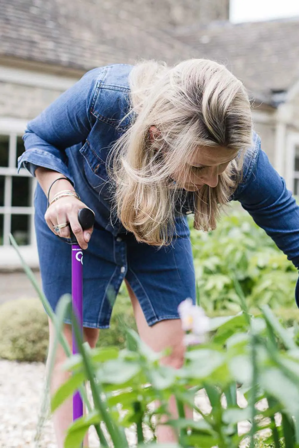 Purple Walking Stick