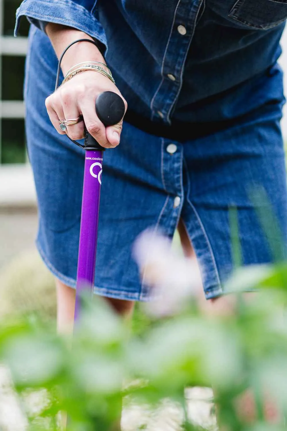 Purple Walking Stick
