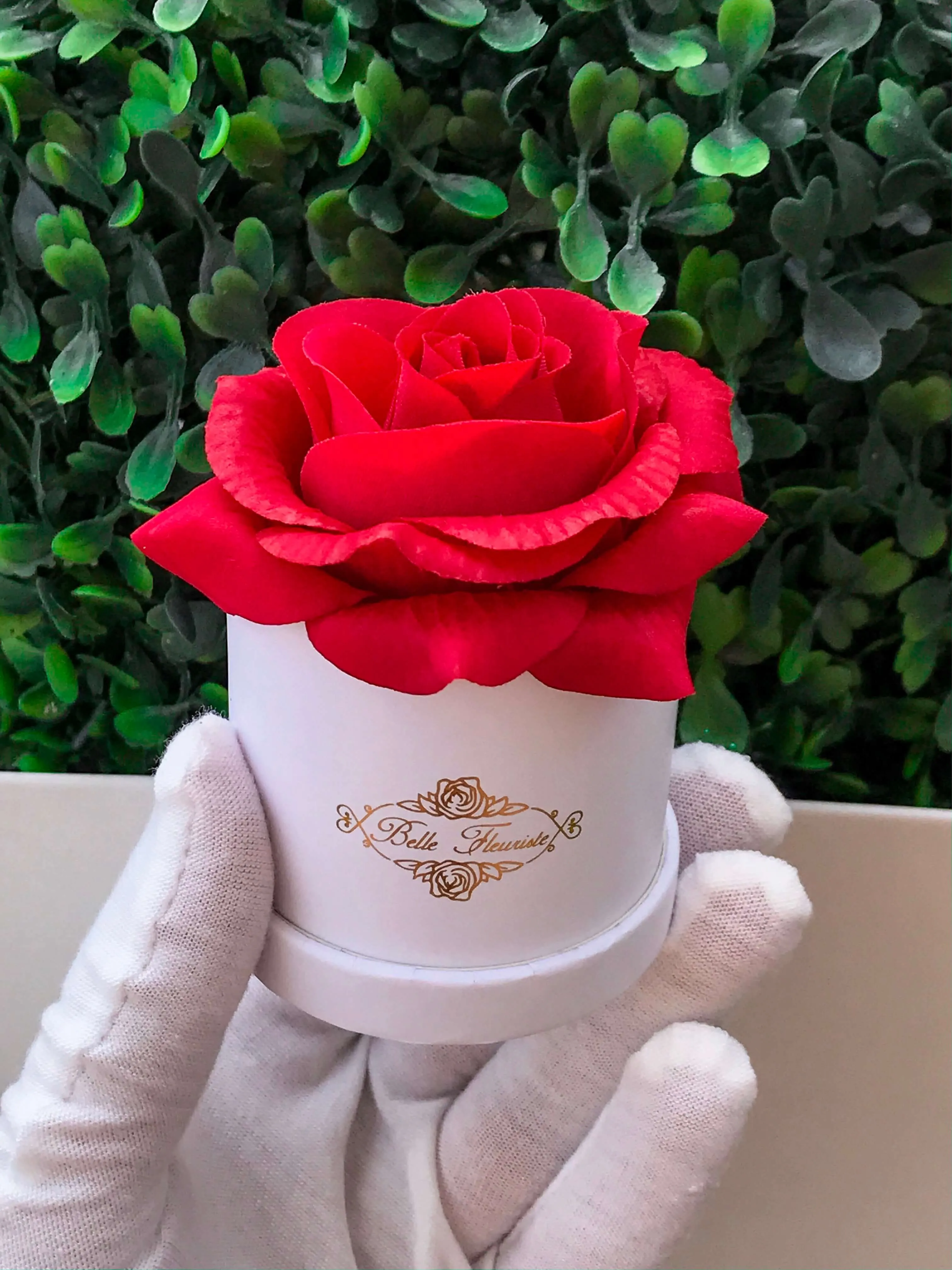 Red Classic Micro Mini - White Box