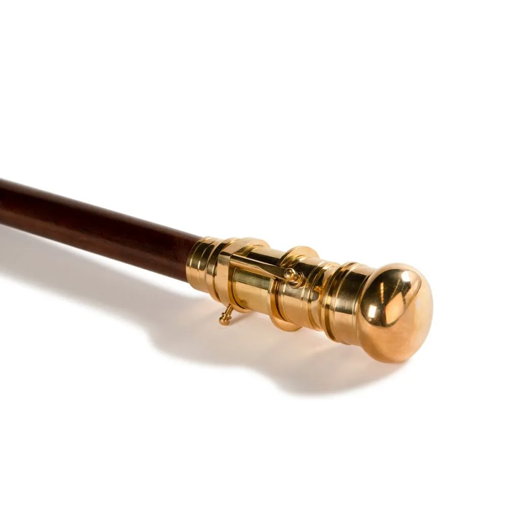 Telescope Walking Stick