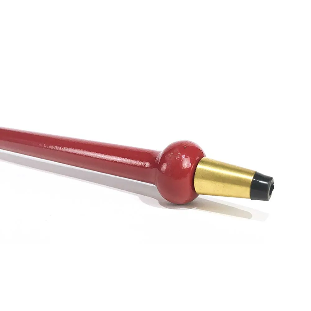 Walking Cane