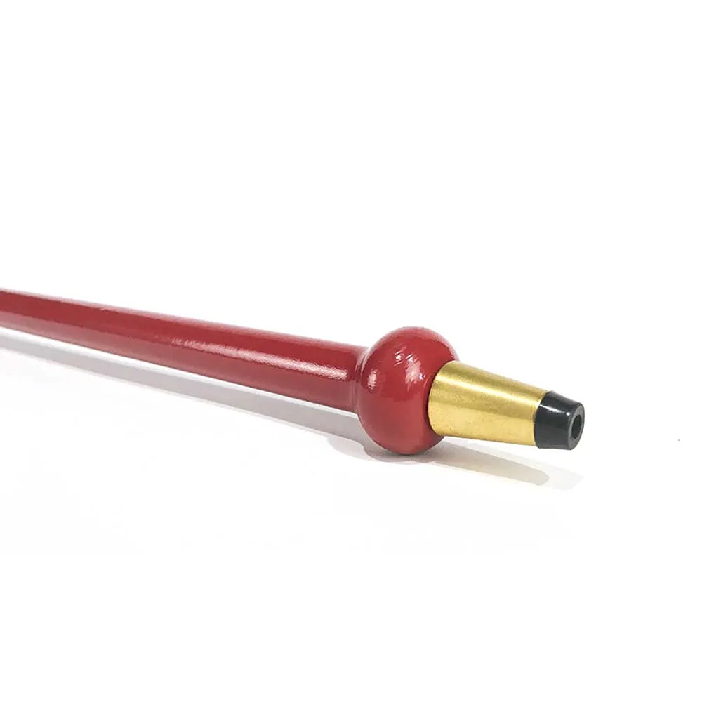Walking Cane