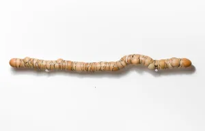 Walking Stick