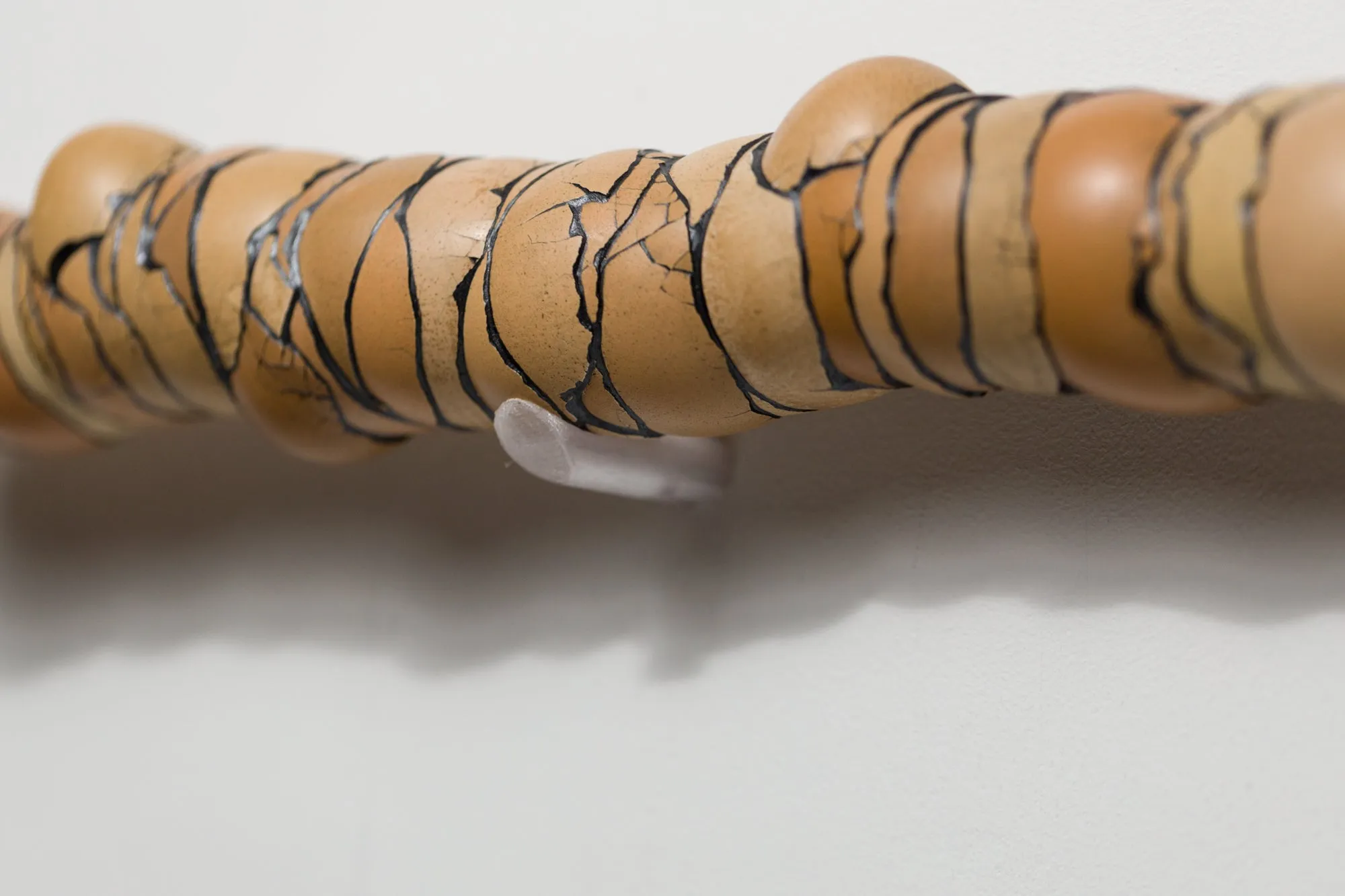 Walking Stick
