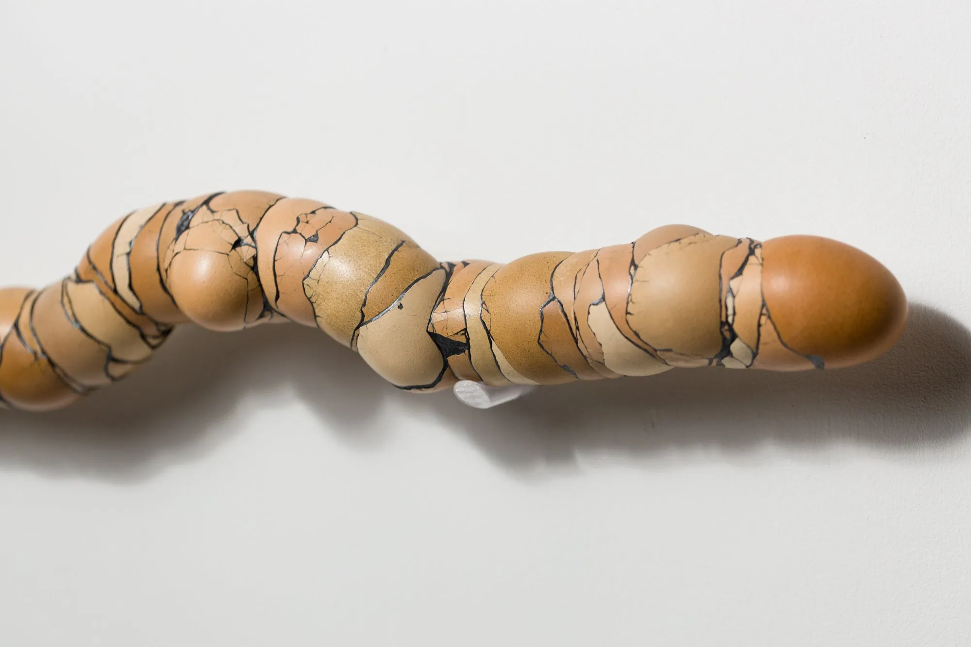 Walking Stick