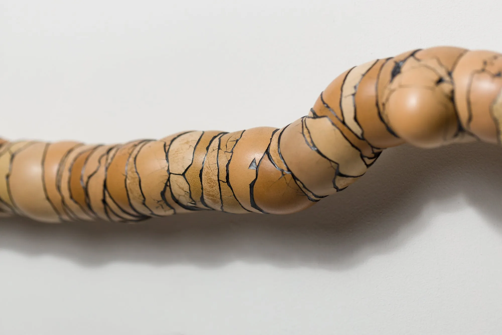 Walking Stick