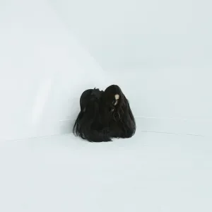 Wolfe, Chelsea - Hiss Spin [RED/CLEAR VINYL 2xLP IMPORT] - New LP