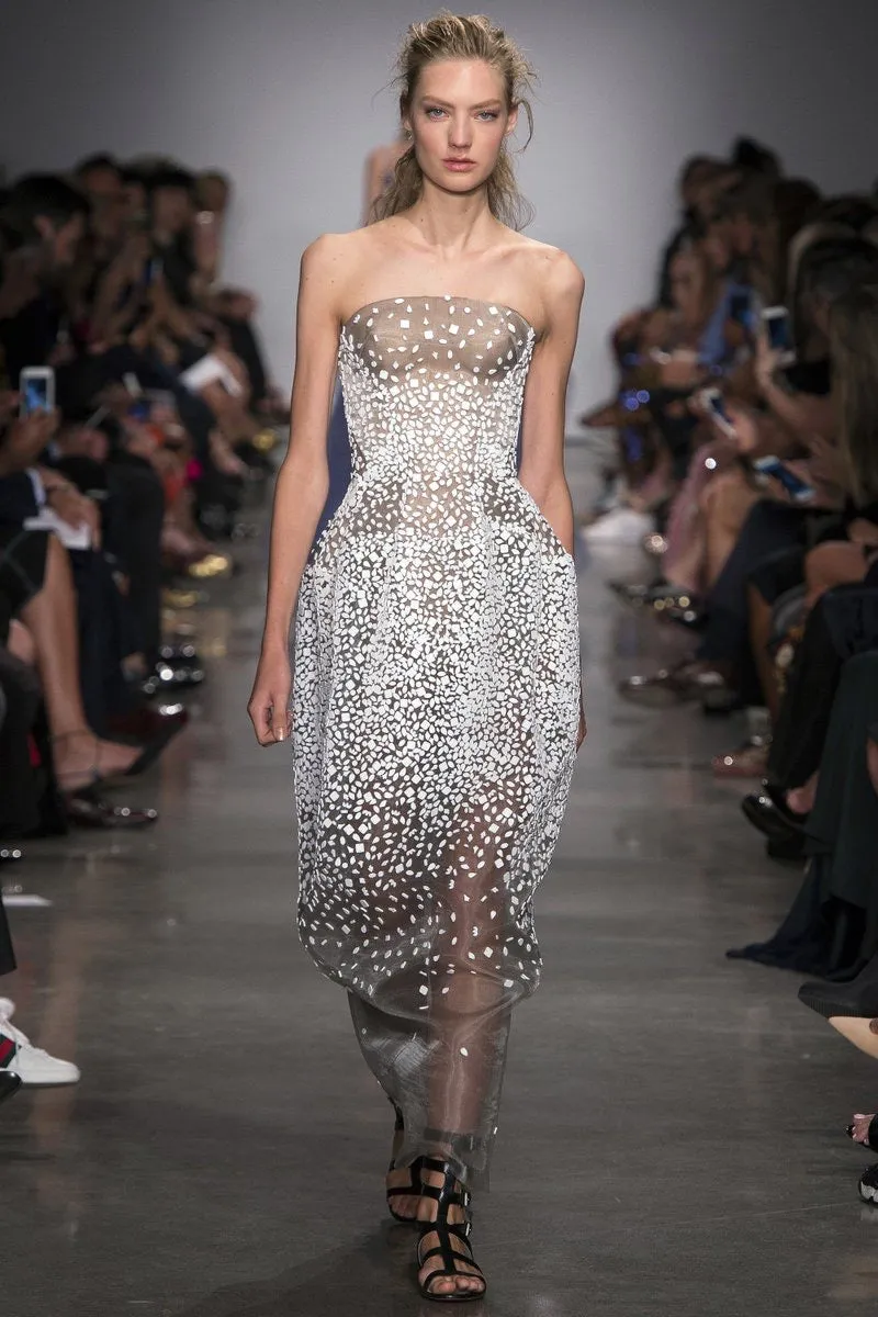 Zac Posen Spring 2017 Strapless Shell Embroidered Dress